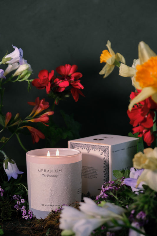 The Flower Candle - Geranium